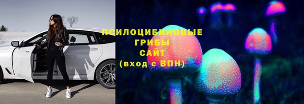 прущие грибы Приозерск