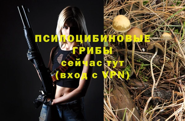 гашик Абаза