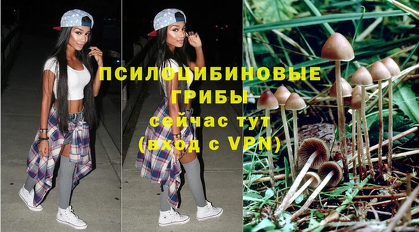 гашик Абаза