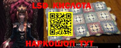 МДПВ Донской