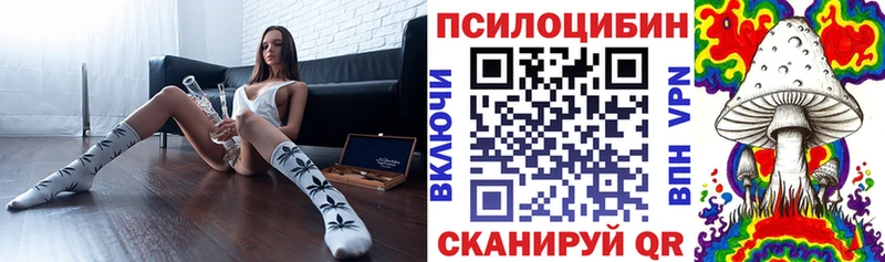 Псилоцибиновые грибы GOLDEN TEACHER  Приморско-Ахтарск 